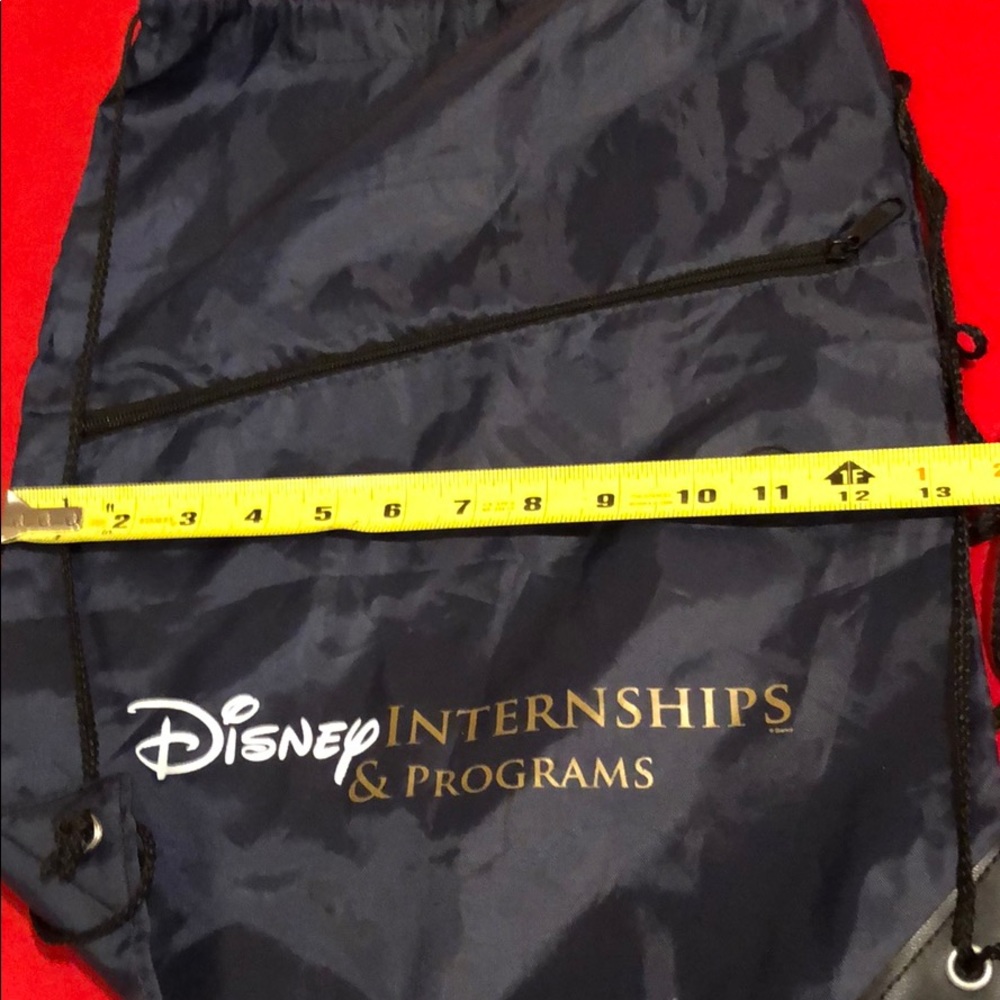 Disney Internship Drawstring Nylon Backpack - image 4